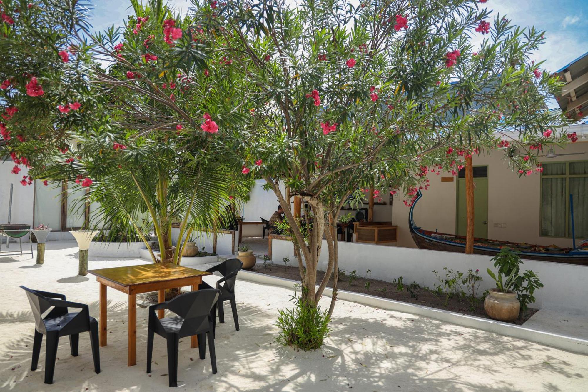 Shifa Lodge Maldives Feridhoo Exterior photo